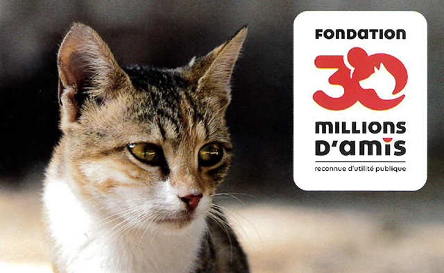 Vignette d'un chat avec le logo de la fondation 30 millions d'amis