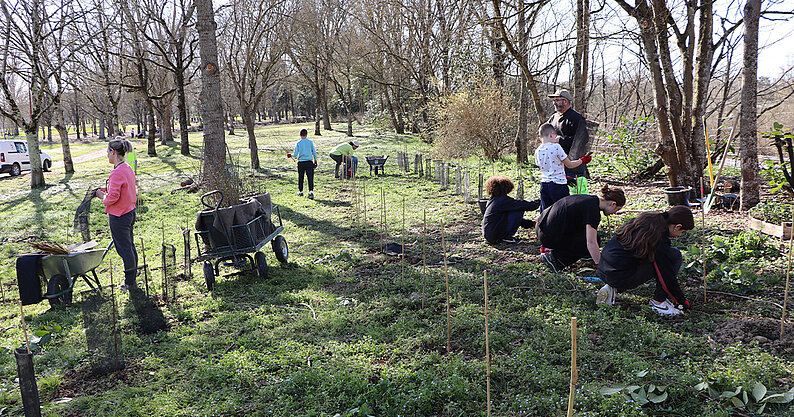 Plantation d'arbres au Parc de Clairefont en février 2026
