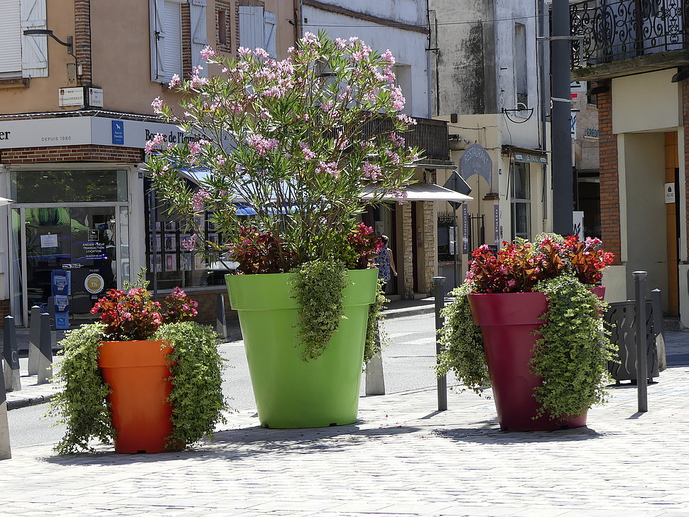 Pots de fleur place de la liberté