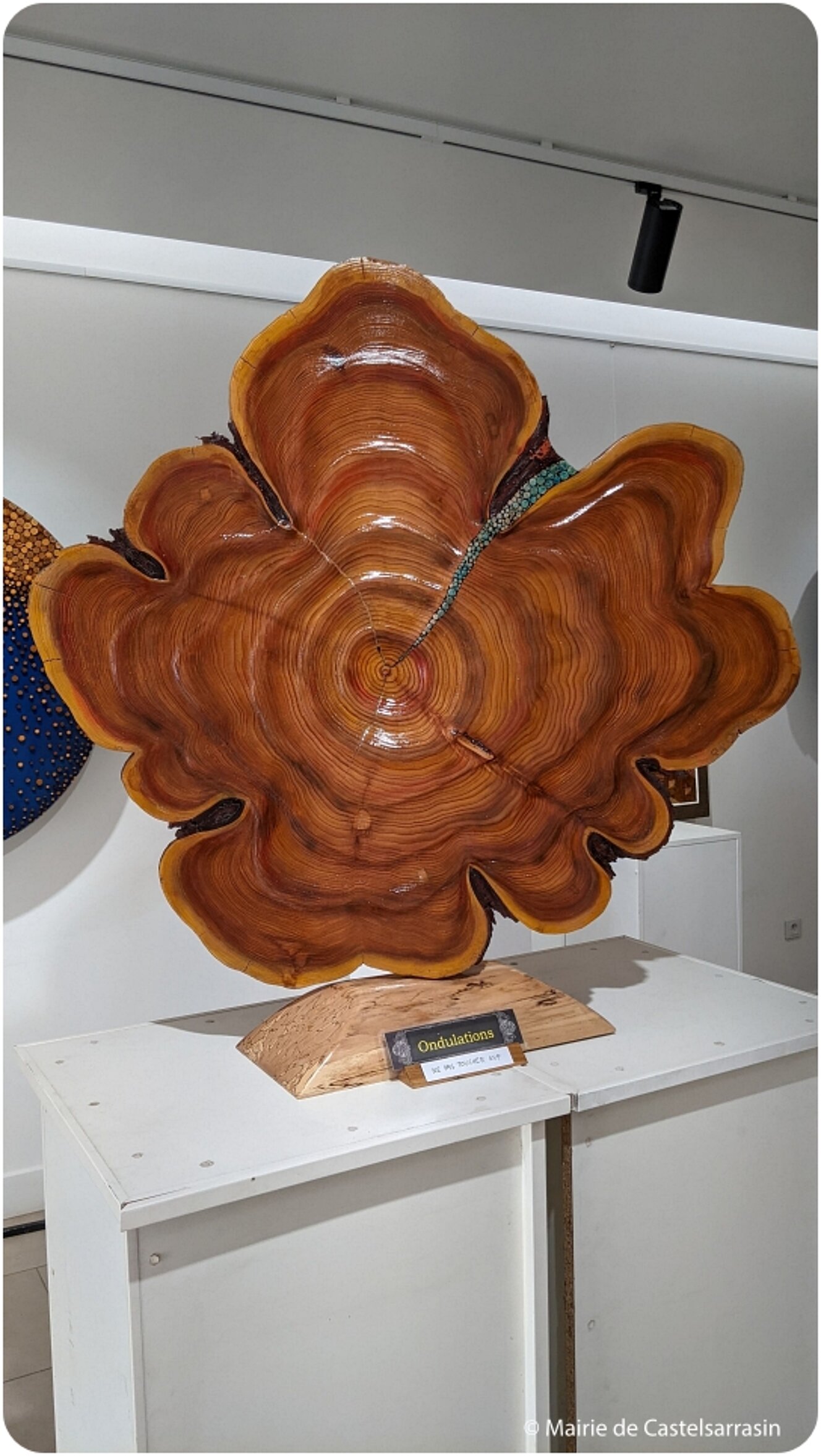 Exposition « Le bois de bout, une technique picturale graphique inédite »   avec l'artiste Daniel RENÉ