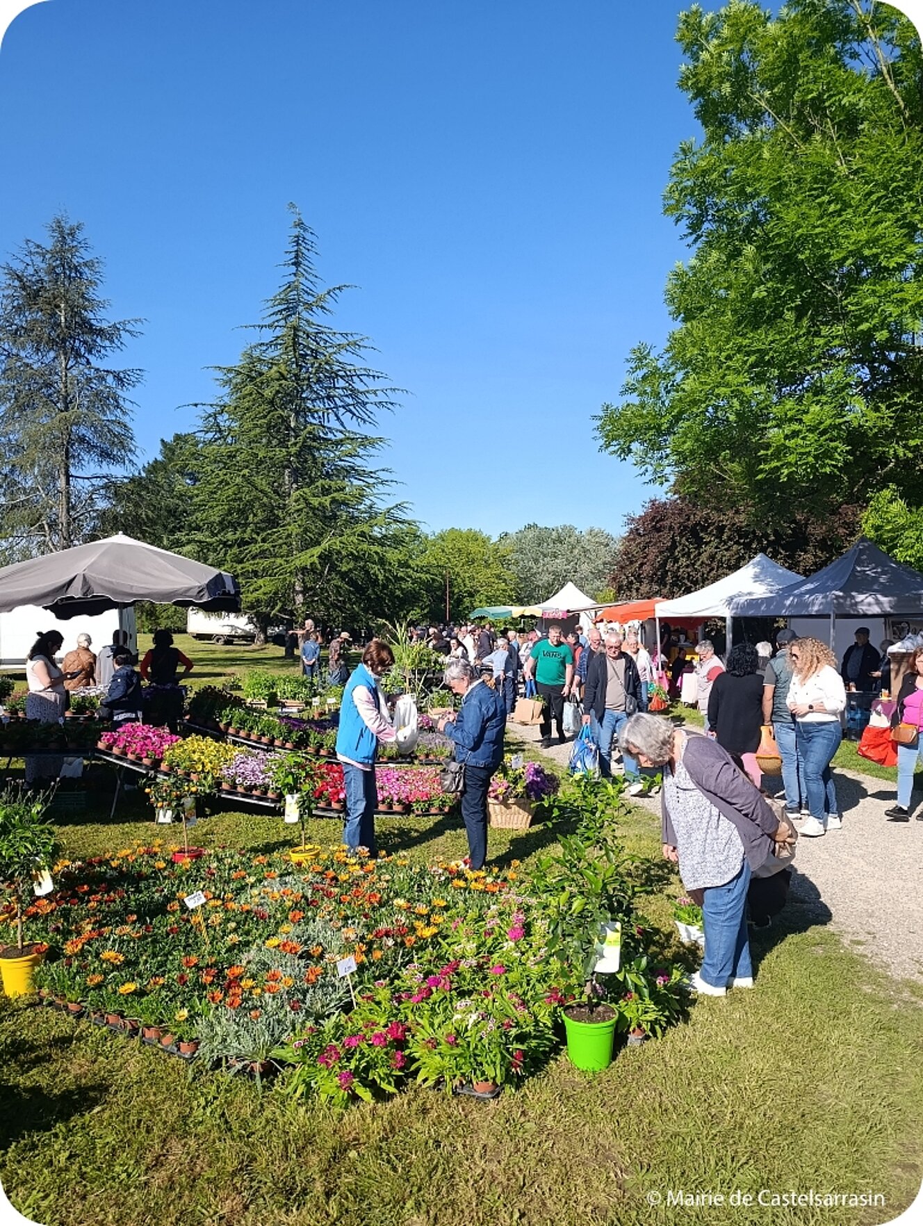 Arts en fleurs 2026
