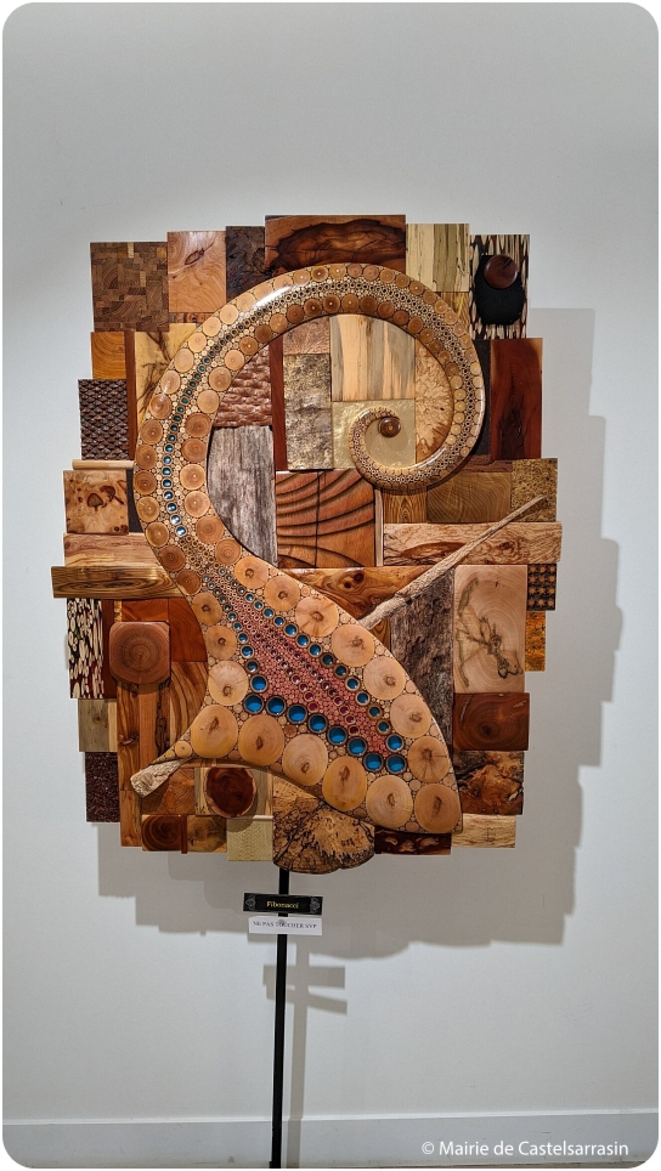 Exposition « Le bois de bout, une technique picturale graphique inédite »   avec l'artiste Daniel RENÉ