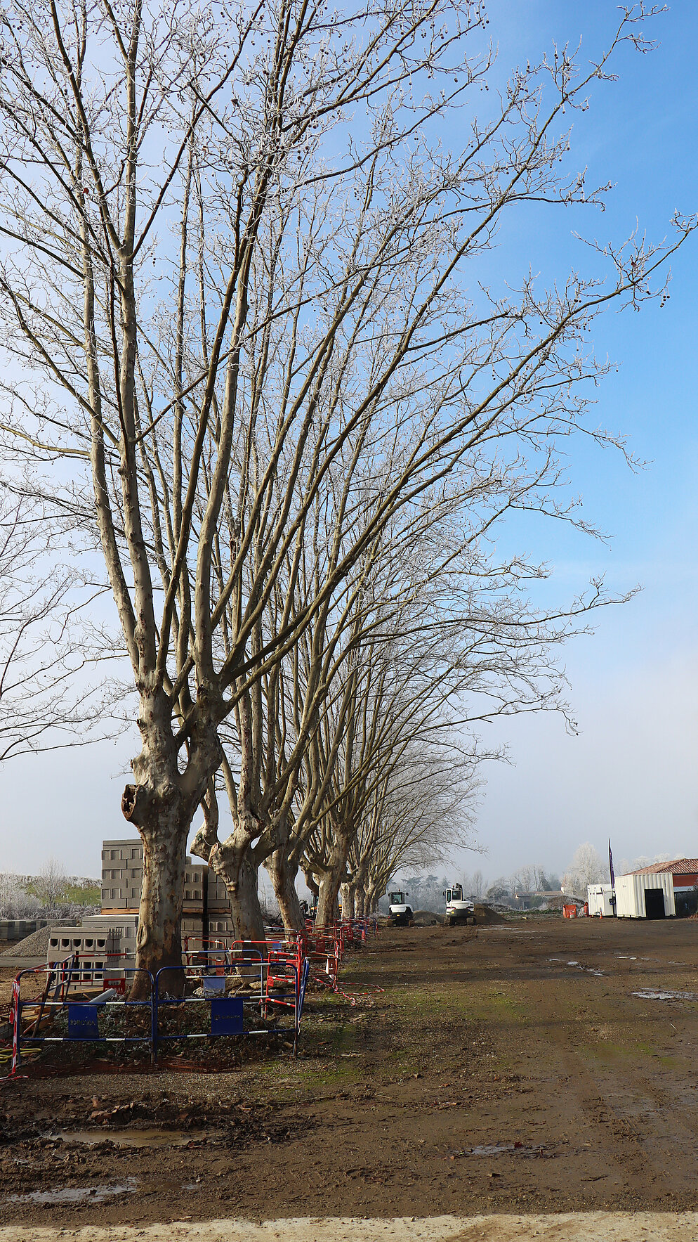 Travaux cimetière - Janvier 2025