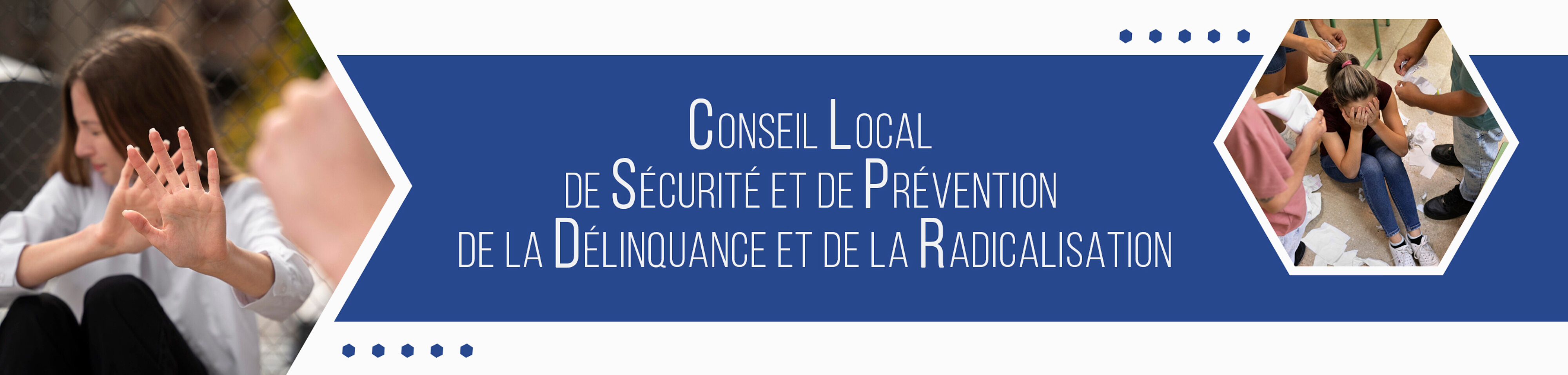 Conseil Local de Sécurité et de Prévention de la Délinquance et de la Radicalisation Conseil Local de Sécurité et de Prévention de la Délinquance et de la Radicalisation