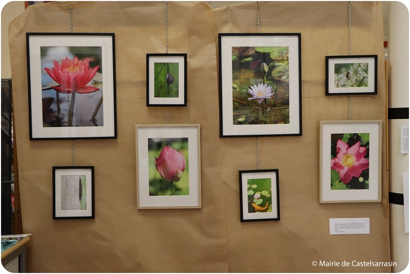 EXPOSITION NATURE avec AGERIS 82