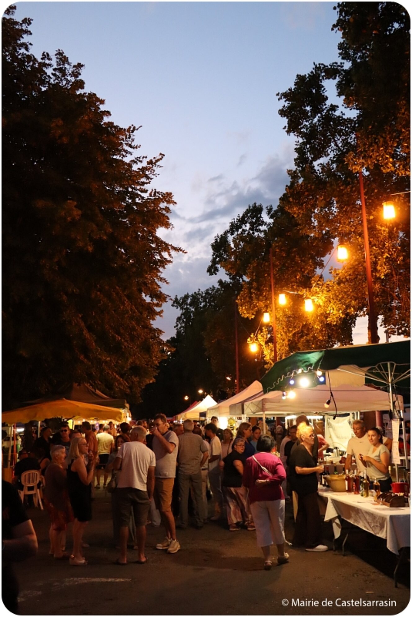 Festiv'été : Marché artisanal et Gourmand - Vendredi 2 aout 2024 au Port Jacques-Yves Cousteau avec le groupe JEYO