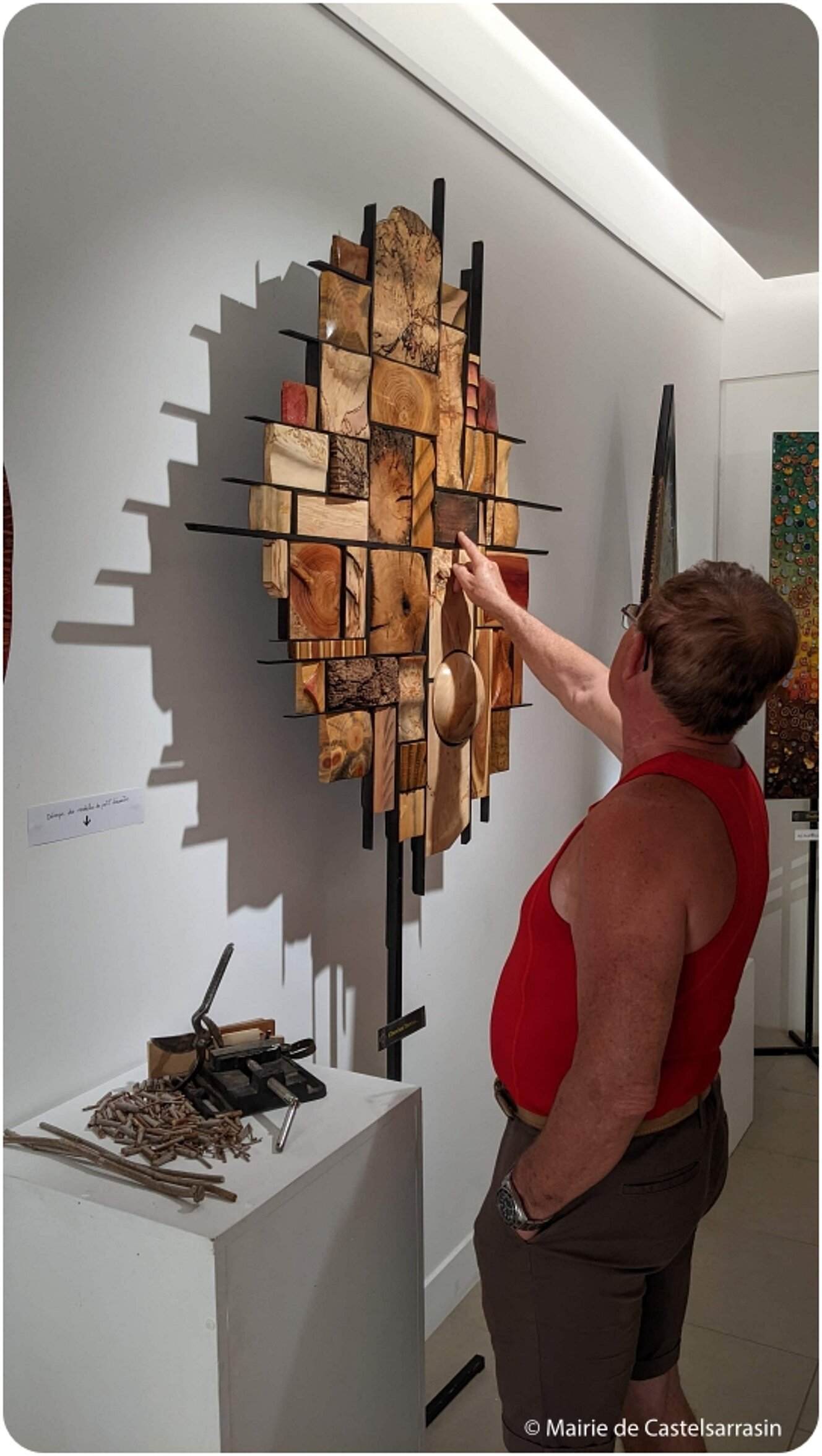 Exposition « Le bois de bout, une technique picturale graphique inédite »   avec l'artiste Daniel RENÉ