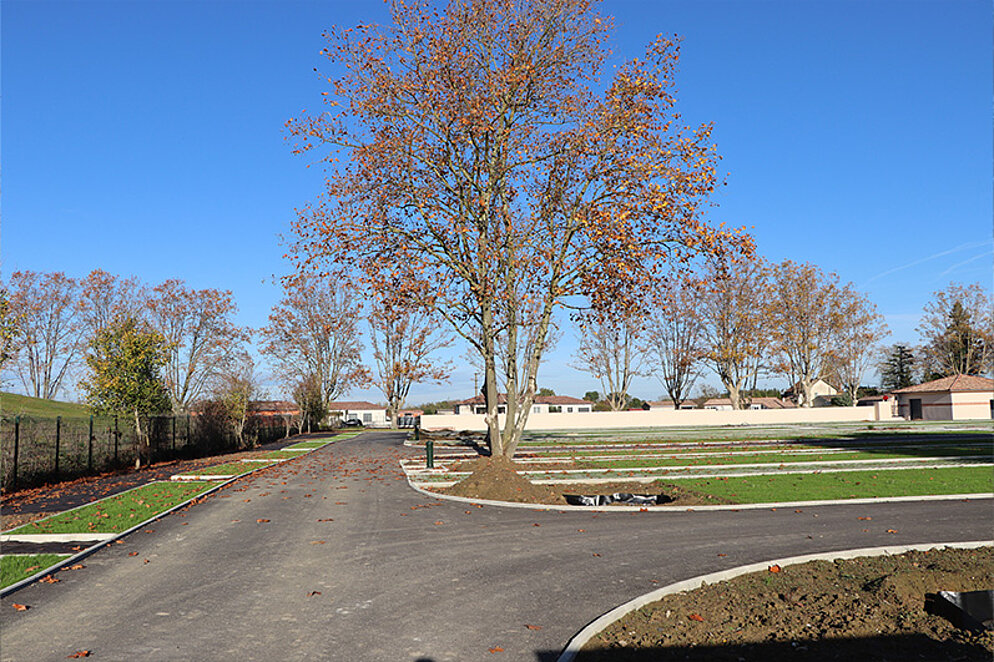 Travaux cimetière - Novembre 2025