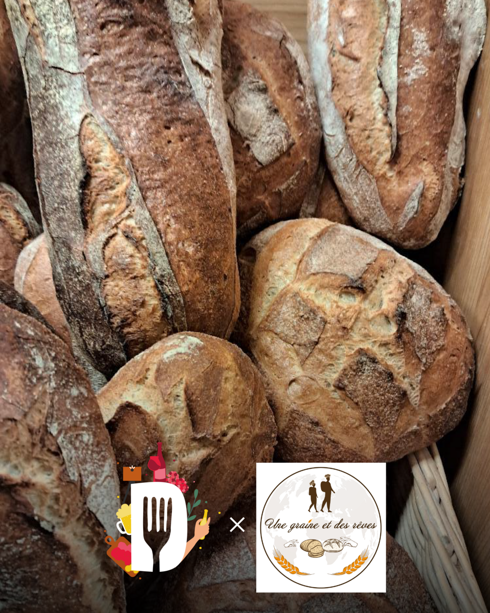 Une graine et des rêves