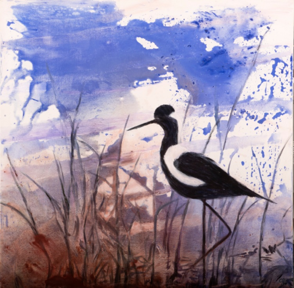 Oeuvre de l'artiste Claude GARY-VILLET