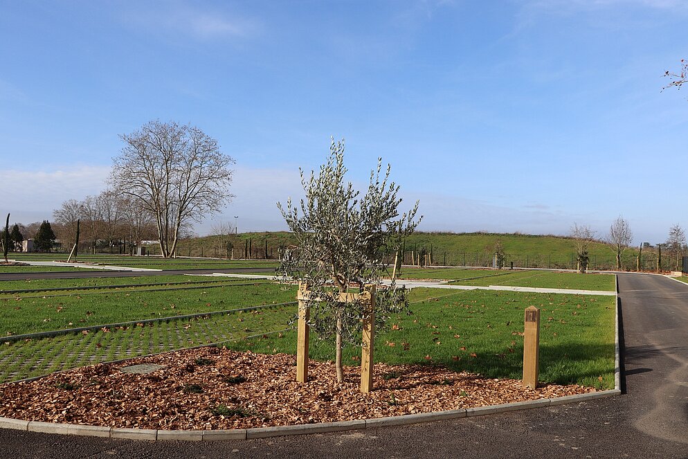 Inauguration du cimetière "Les Papillons" - Mardi 16 décembre 2025