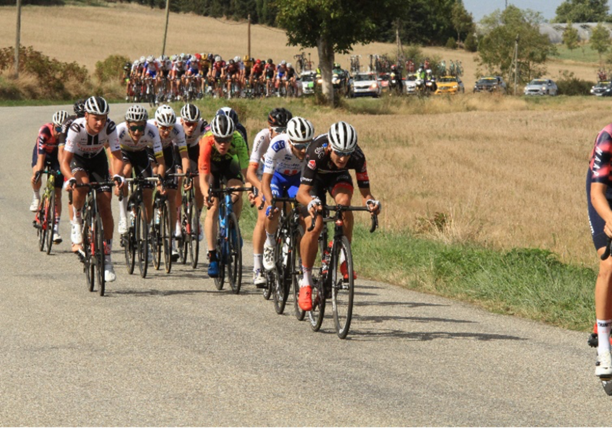Le peloton de course Le peloton de course