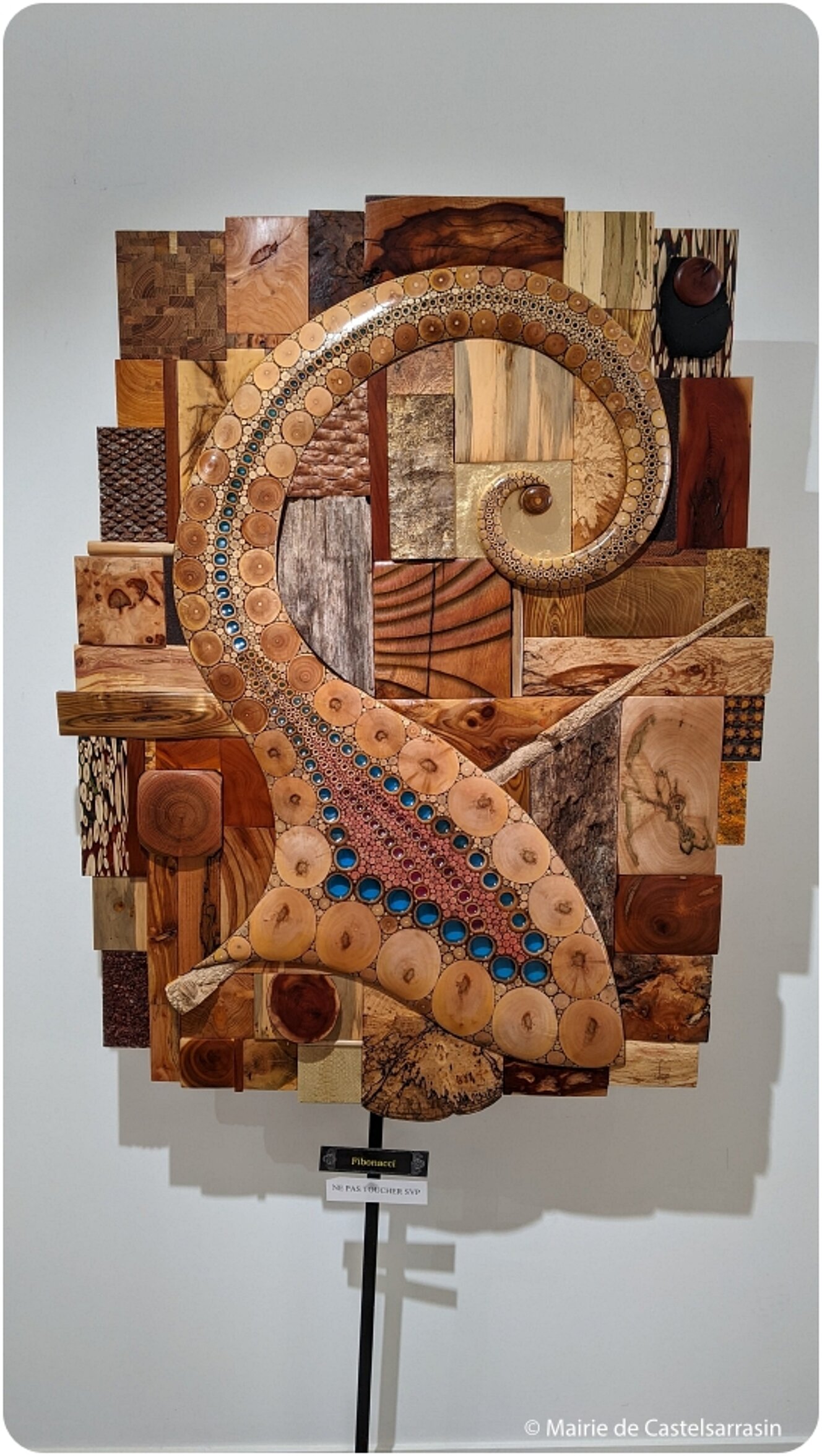 Exposition « Le bois de bout, une technique picturale graphique inédite »   avec l'artiste Daniel RENÉ