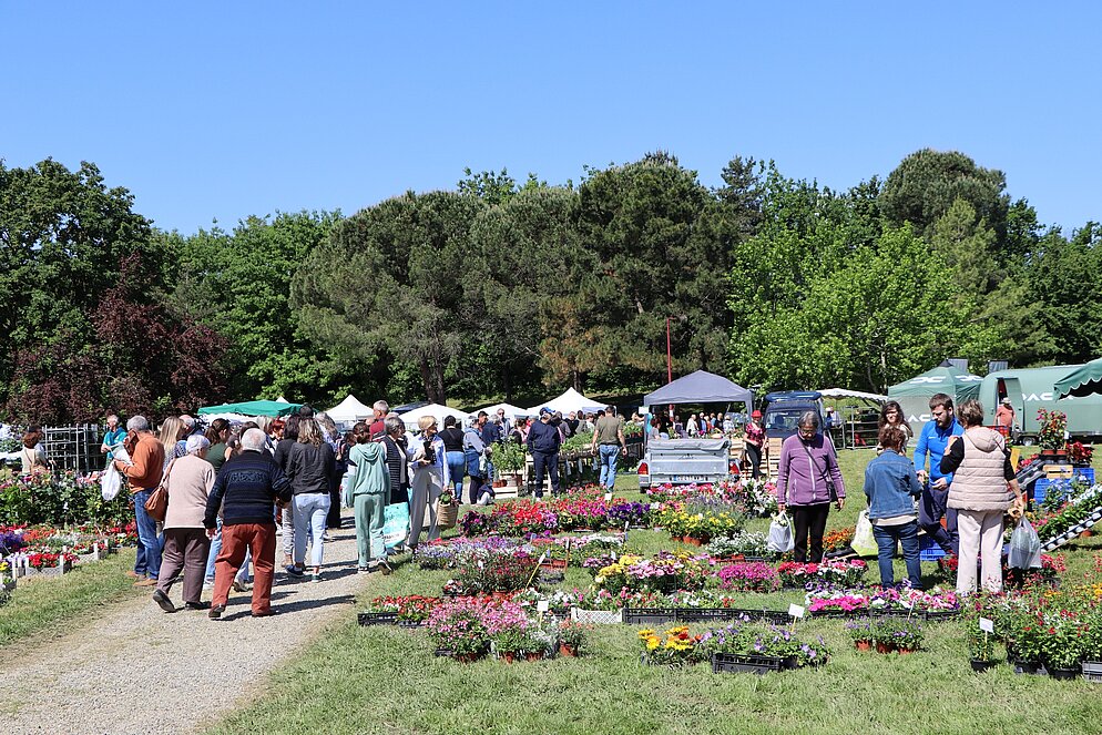 Arts en Fleurs à Castelsarrasin au Parc de Clairefont