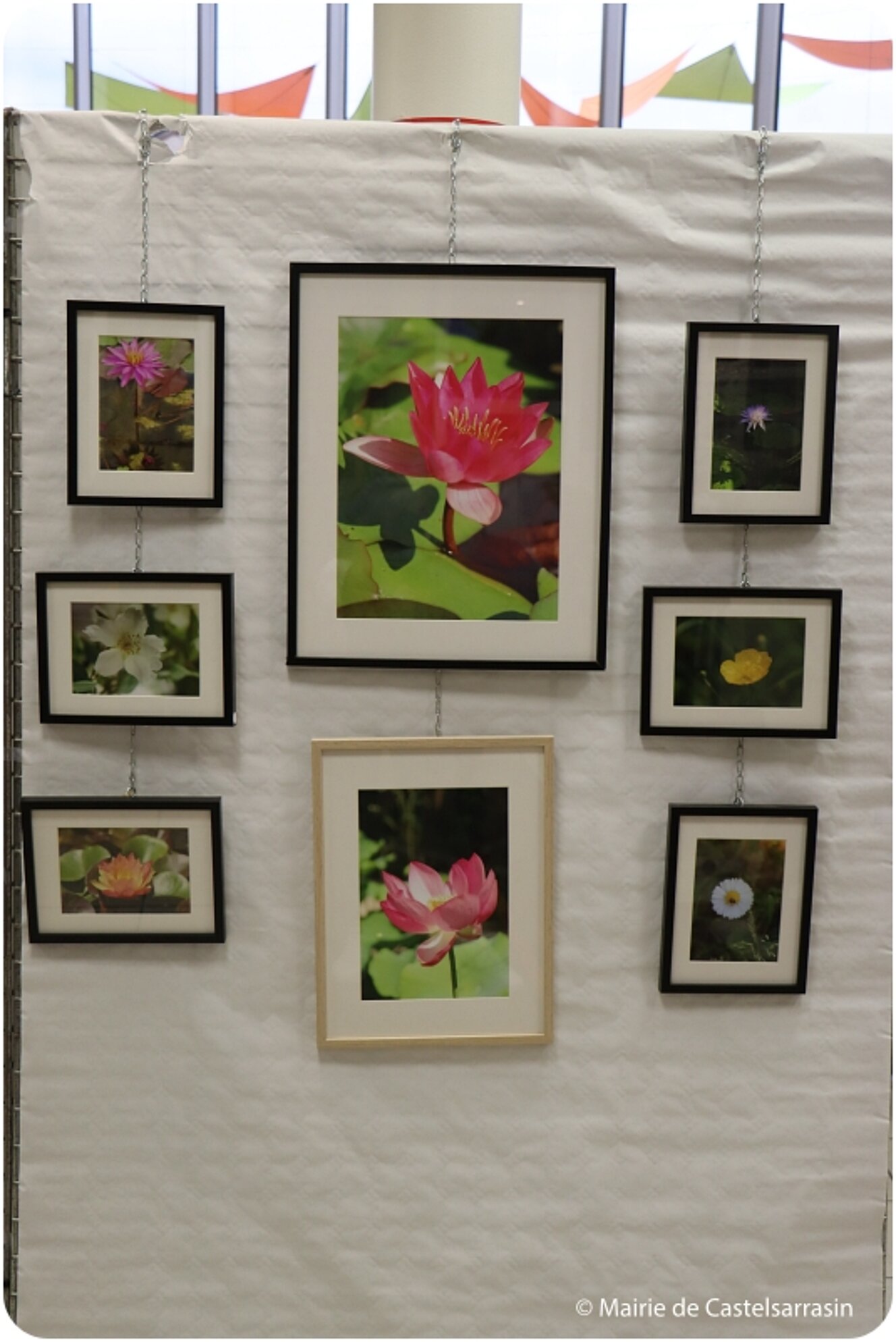 EXPOSITION NATURE avec AGERIS 82