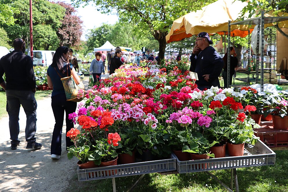 Arts en Fleurs à Castelsarrasin au Parc de Clairefont