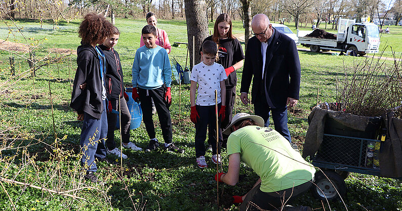 Plantation d'arbres au Parc de Clairefont en février 2026