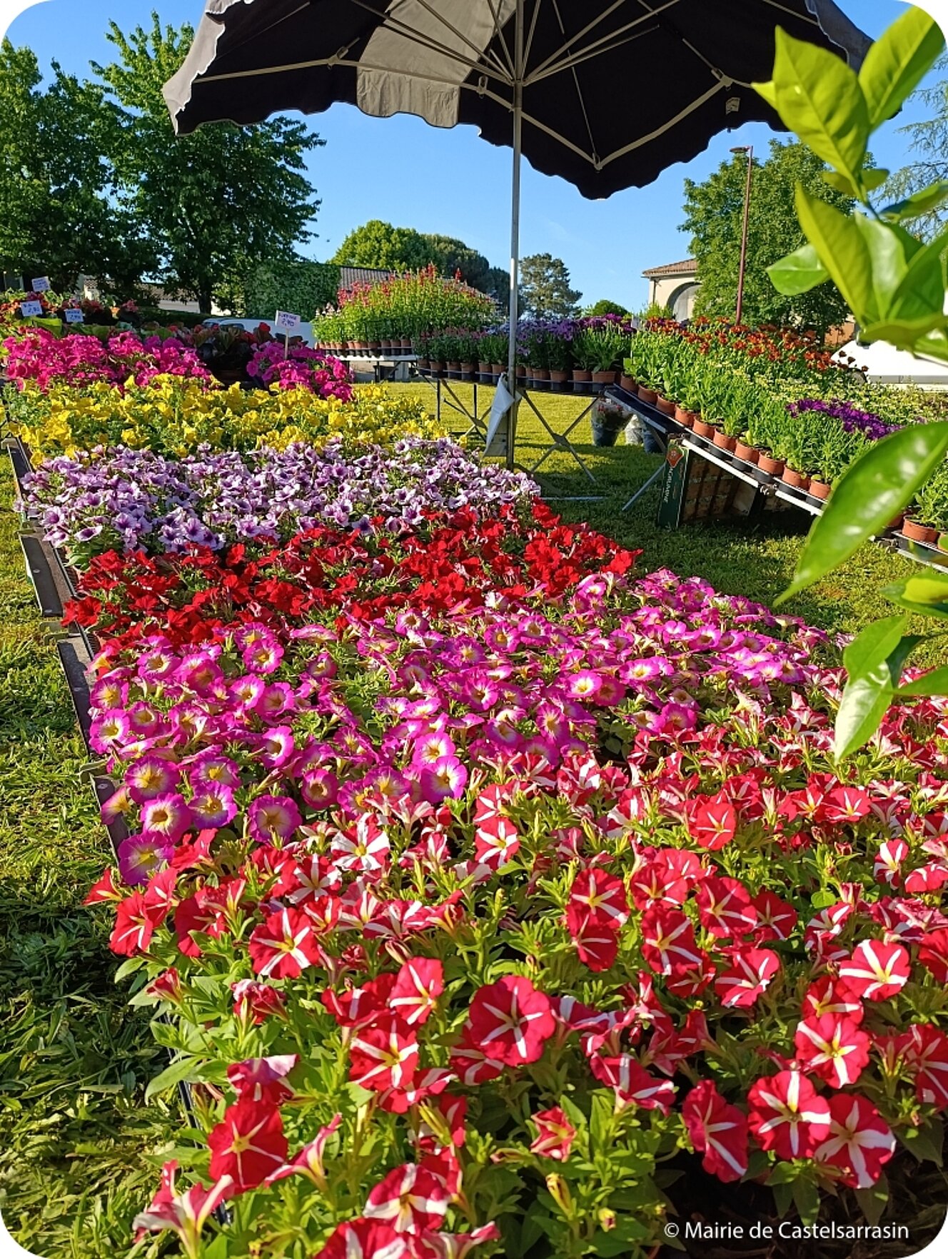 Arts en fleurs 2026