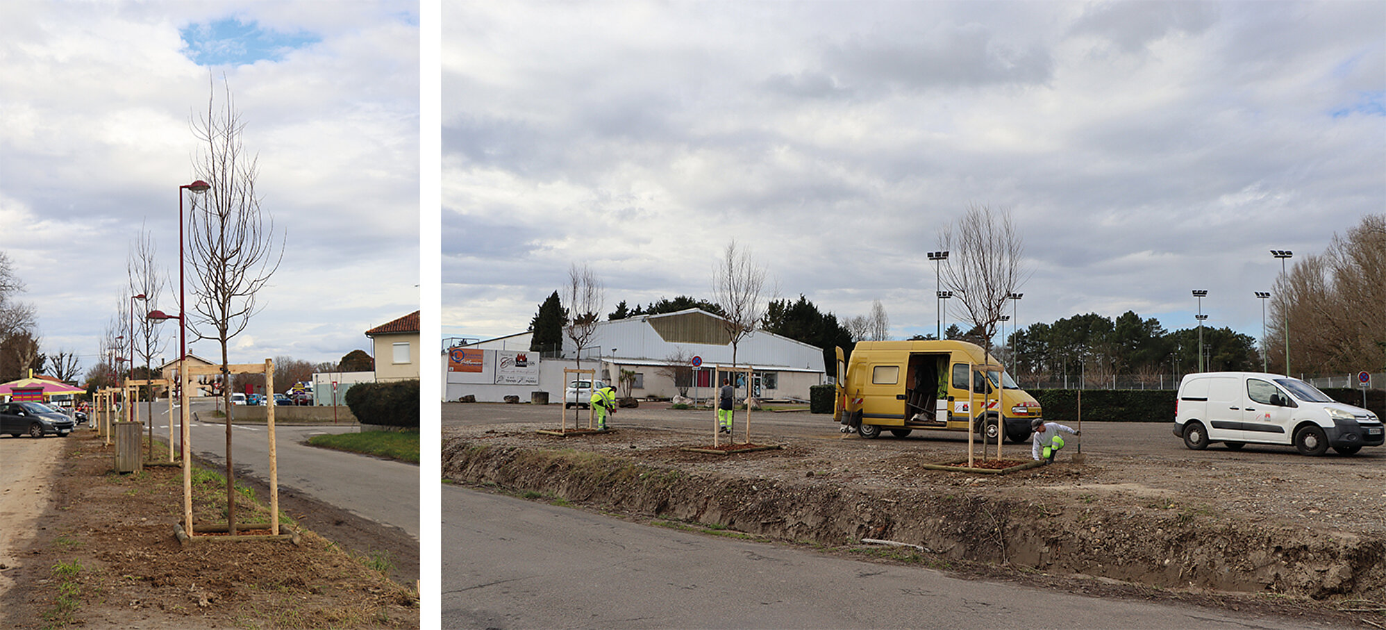 Entretenir le patrimoine arboré Entretenir le patrimoine arboré