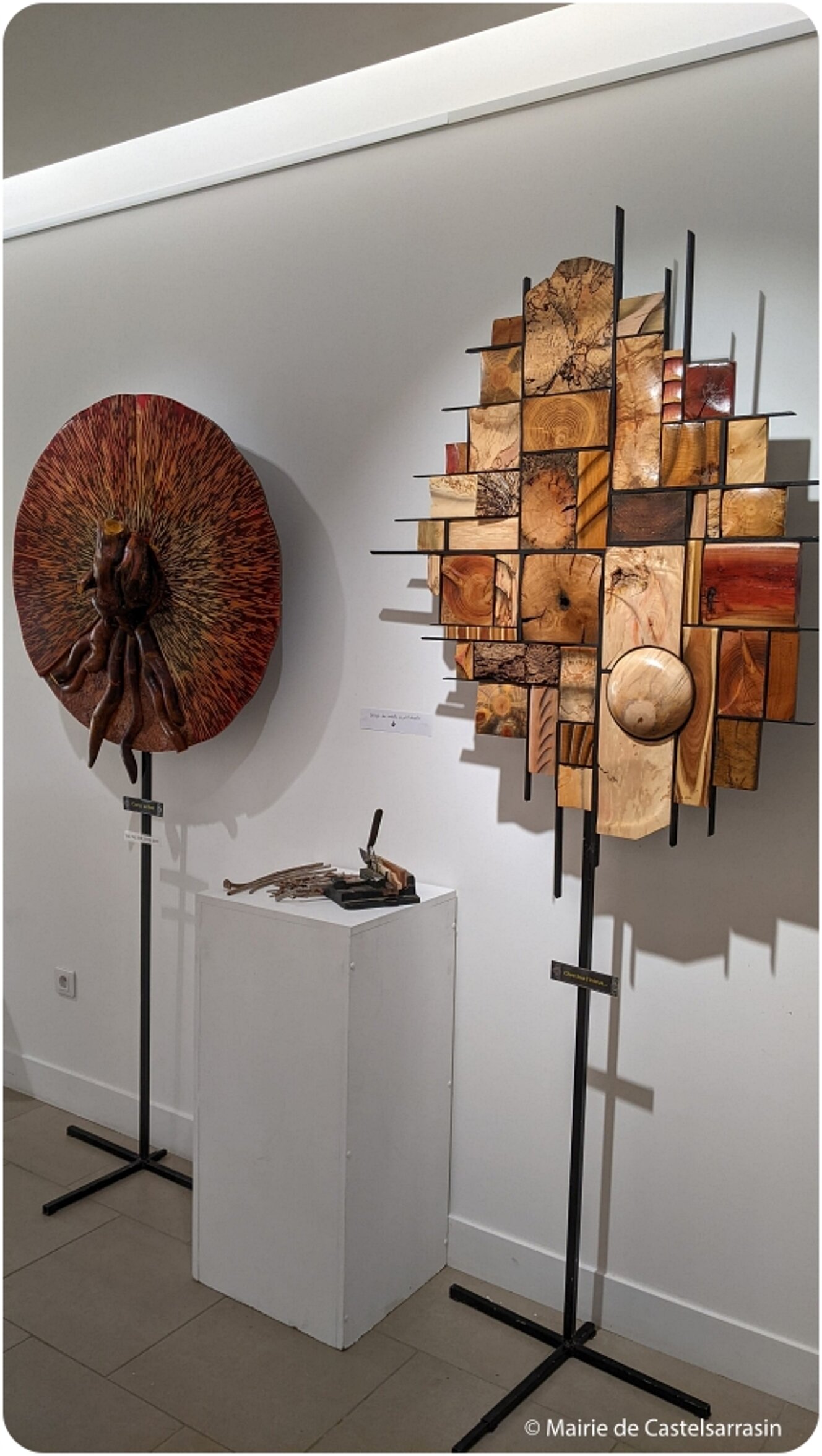 Exposition « Le bois de bout, une technique picturale graphique inédite »   avec l'artiste Daniel RENÉ