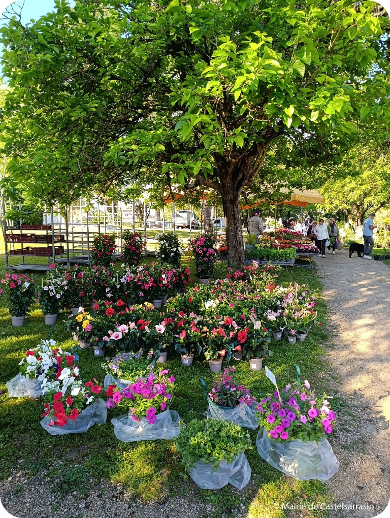 Arts en fleurs 2026