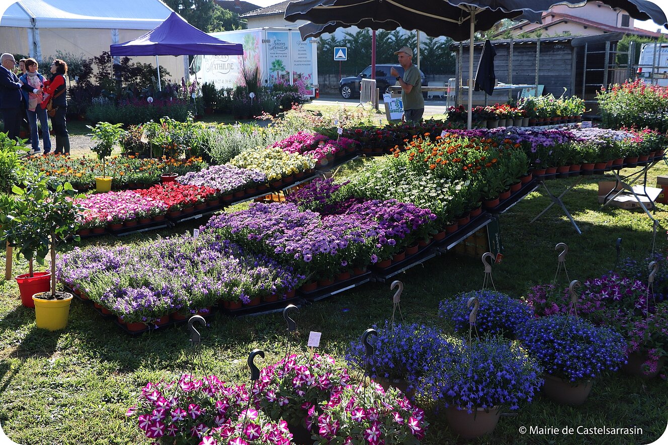 Arts en fleurs 2026