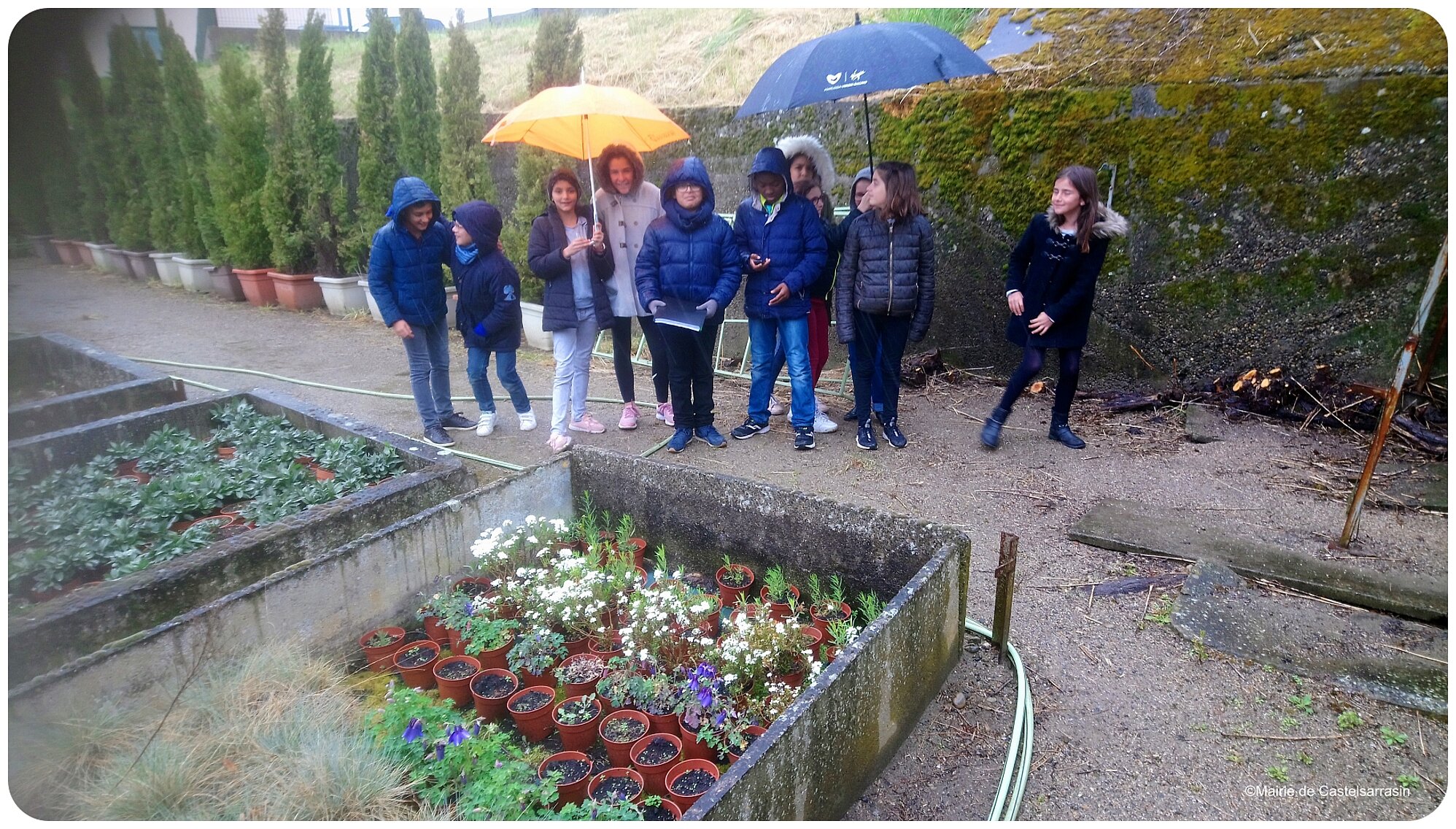 9 élus du CMJ en viste aux serres municipales sous la pluie