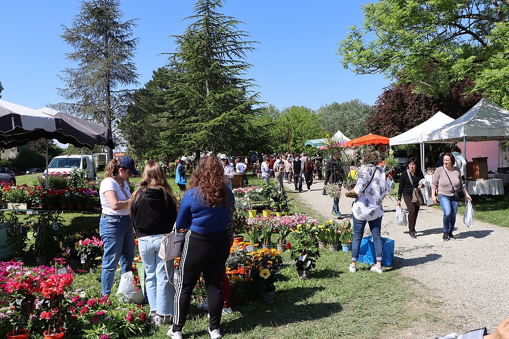 Arts en Fleurs à Castelsarrasin au Parc de Clairefont