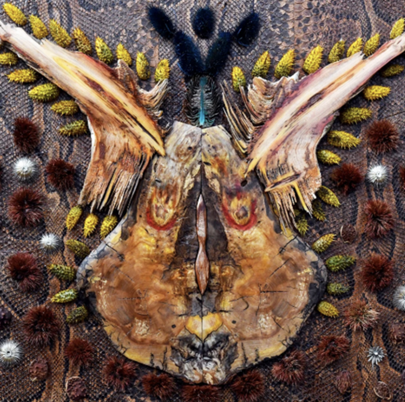 Oeuvre de l'artiste Daniel RENE - Diablo (2022)