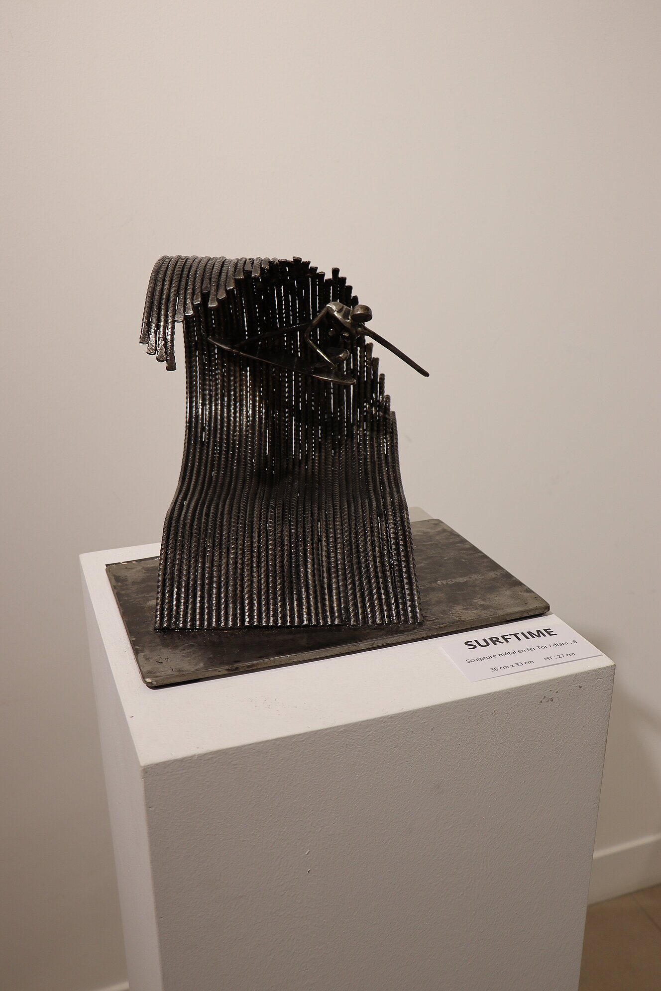 Photos du vernissage de l'exposition "Métal émotion" de l'artiste sculpteur Maurice Graffenberg (2 avril 2025)