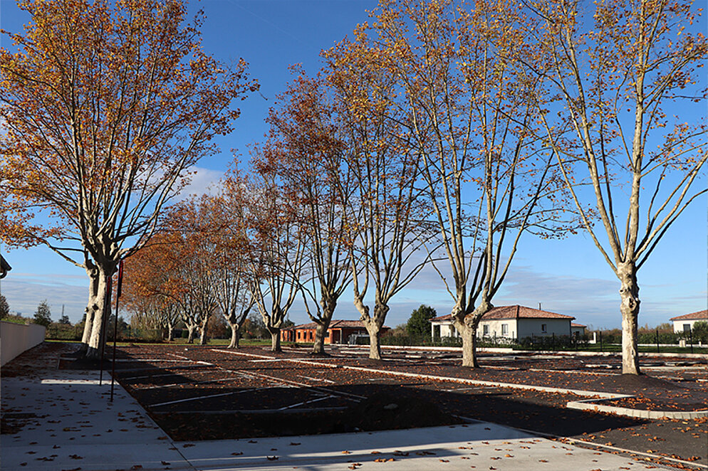 Travaux cimetière - Novembre 2025