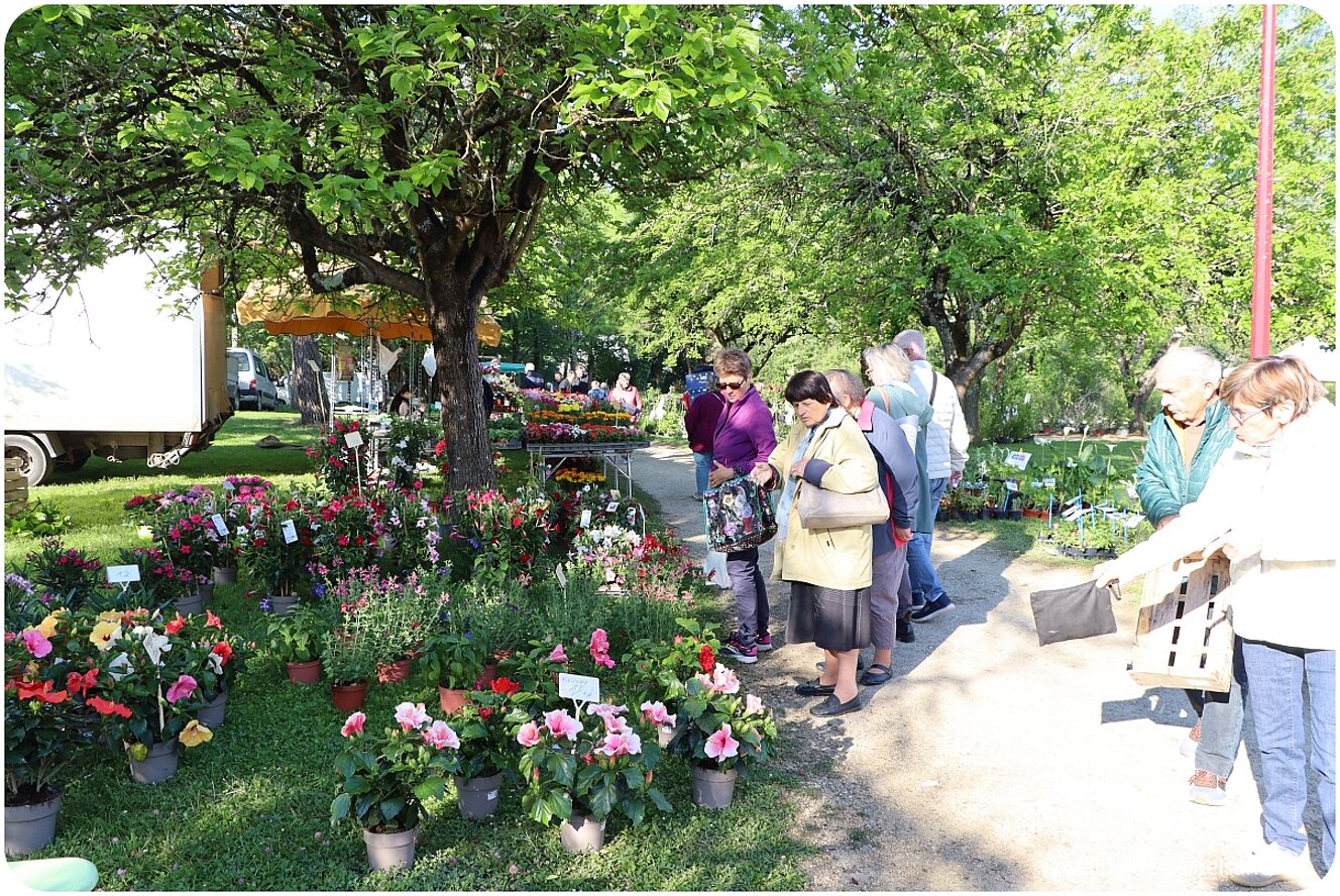 Arts en Fleurs 2025 au parc de Clairefont à Castelsarrasin