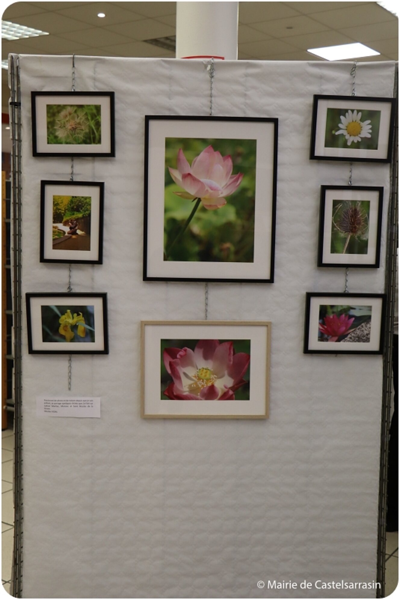 EXPOSITION NATURE avec AGERIS 82