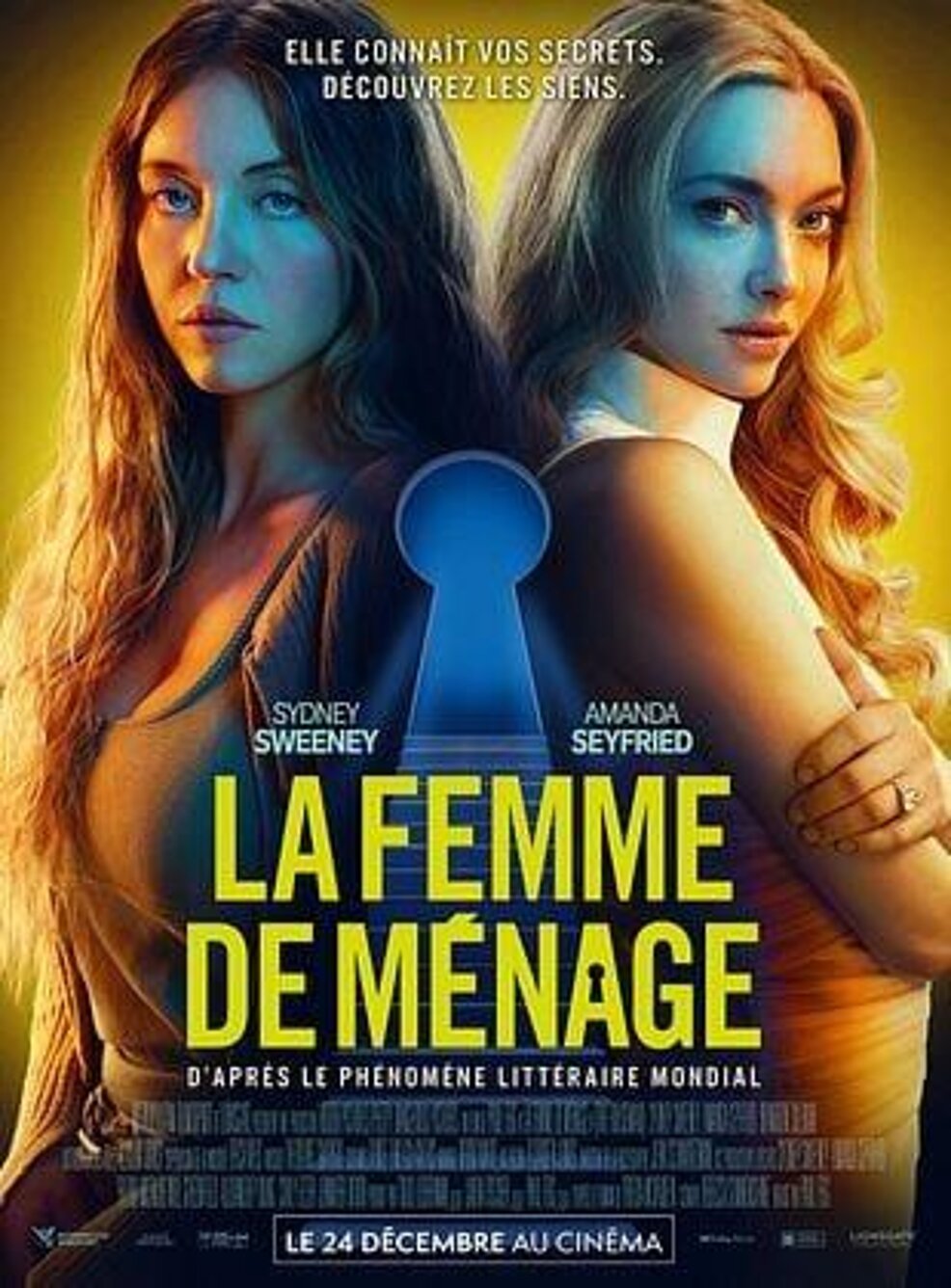 Affiche du film : LA FEMME DE MÉNAGE 