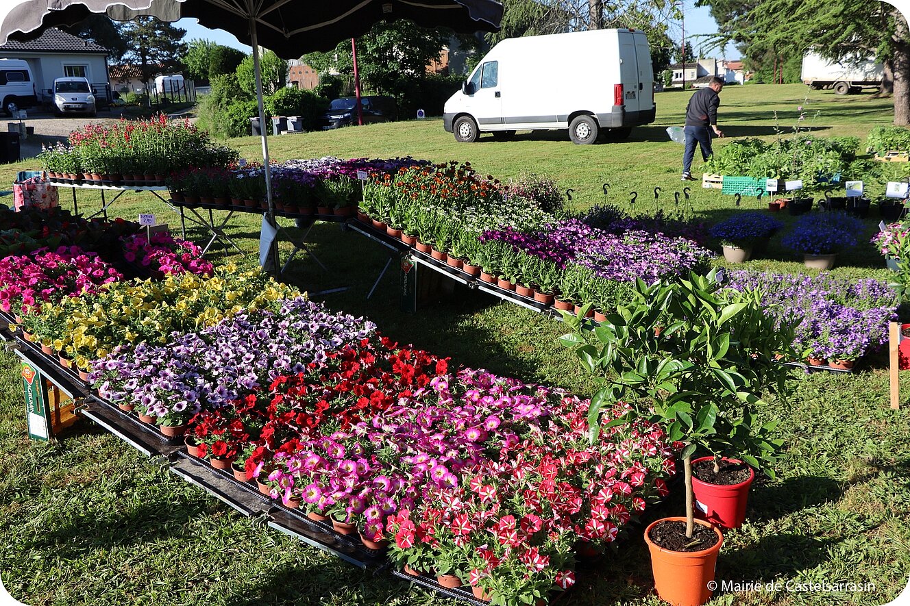 Arts en fleurs 2026