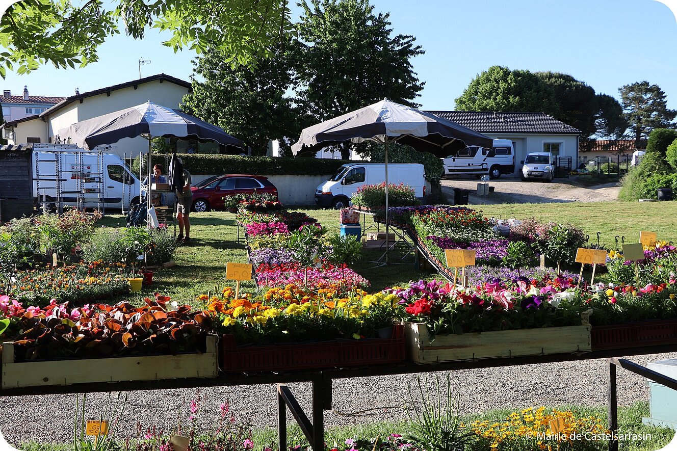 Arts en fleurs 2026