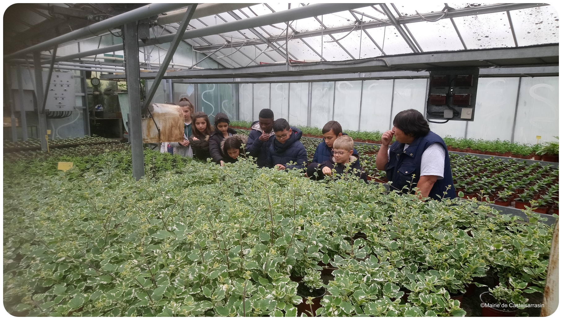 Les enfants du CMJ accompagnée d'une adulte, observant les plants de fleurs sous la serre