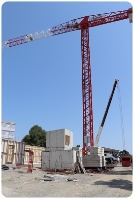 Grue