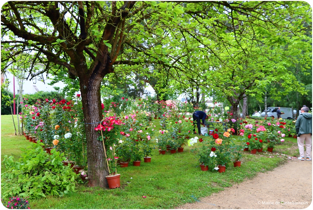 Arts en Fleurs 2024