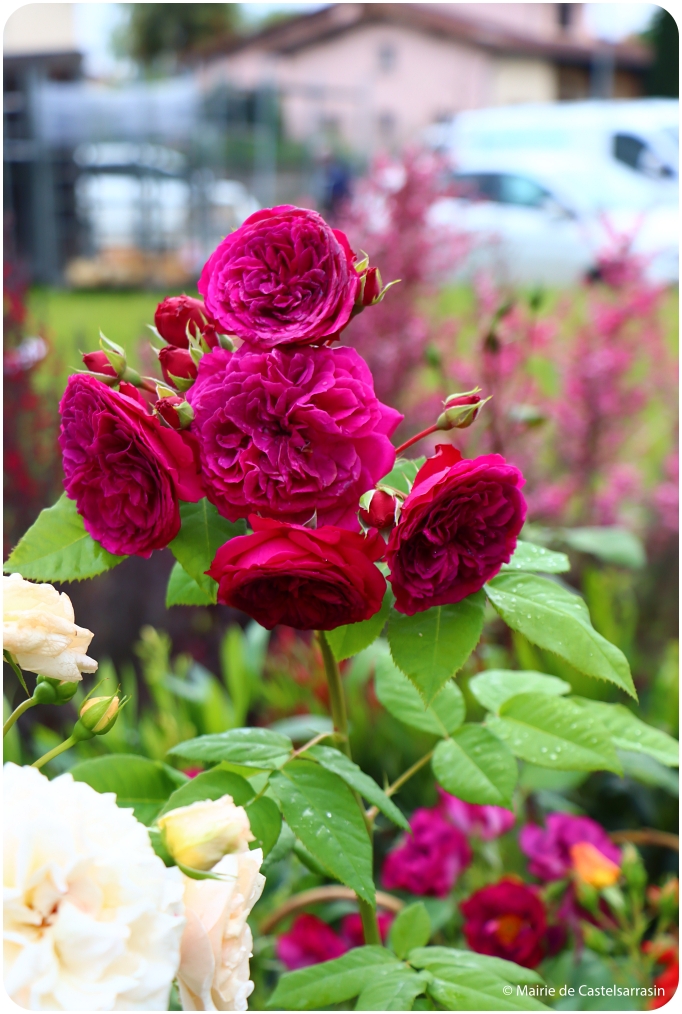 Arts en Fleurs 2024