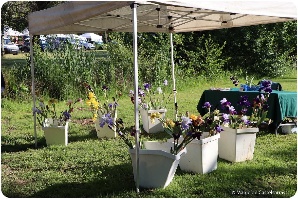 Arts en Fleurs 2025 au parc de Clairefont à Castelsarrasin